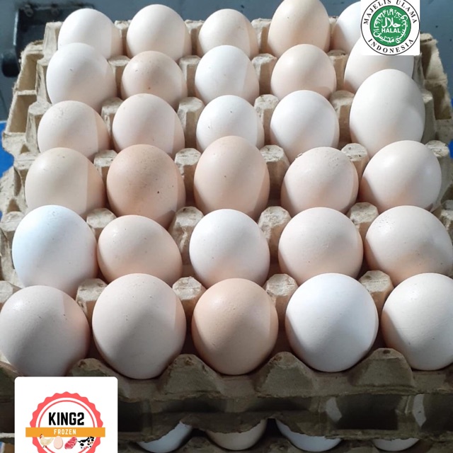 

Telur Ayam Negeri