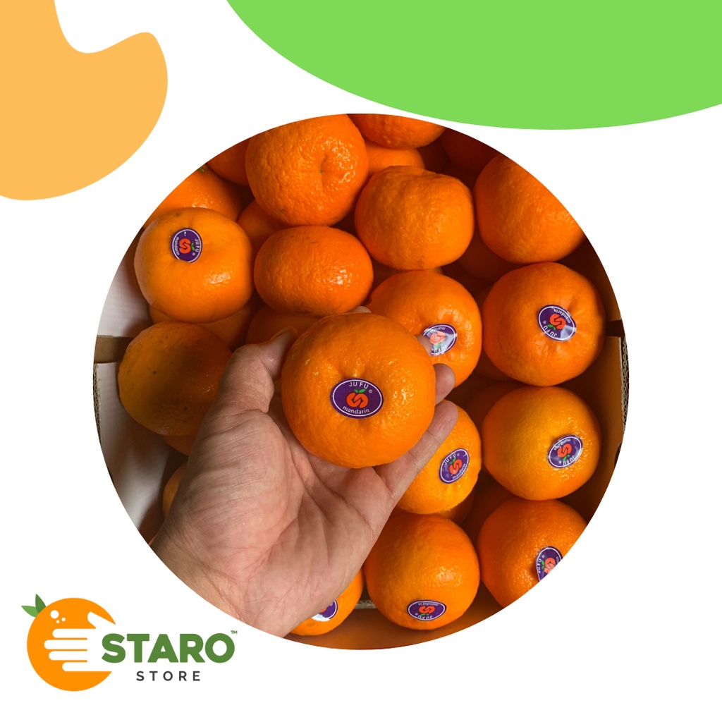 

Buah jeruk wogan / jeruk wogan