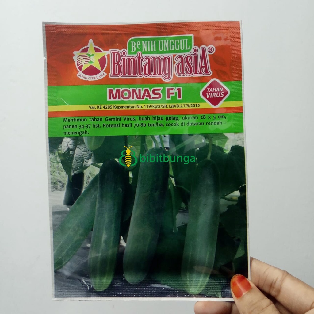 Benih Bibit Timun Monas F1 10gr Buah Mentimun Ketimun Cap Bintang Asia