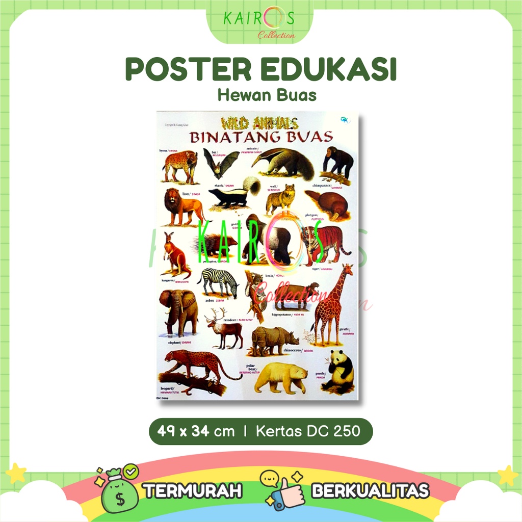 Poster Edukasi Anak Belajar Binatang Buas