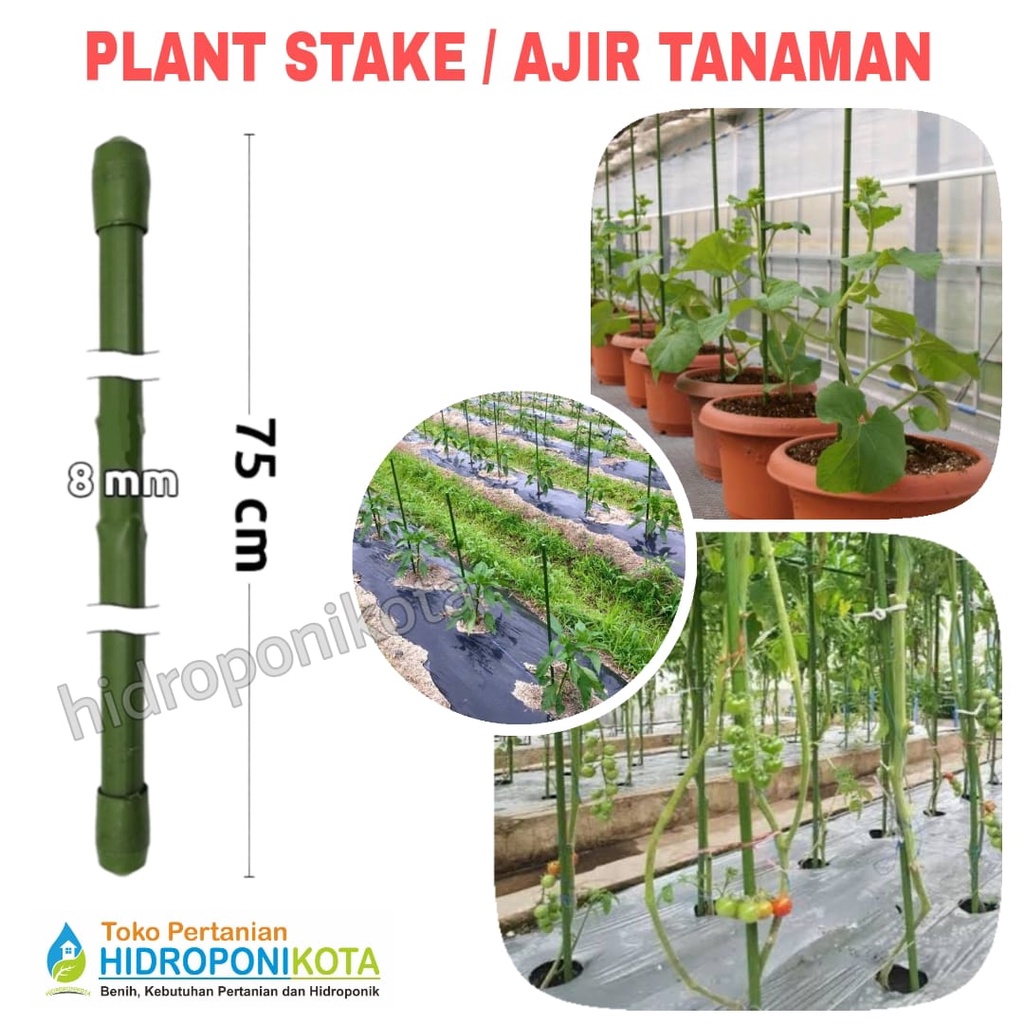 AJIR LURUS 8 mm X 75 cm - plant stake - penyangga tanaman