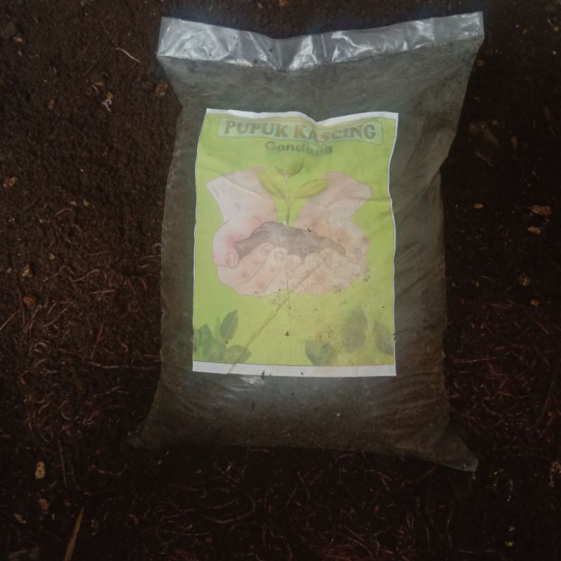 pupuk kascing gondang