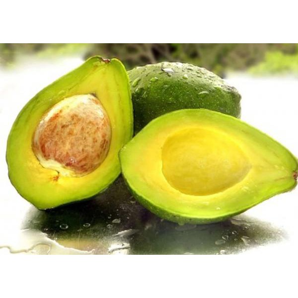 

ALPUKAT PER 1KG