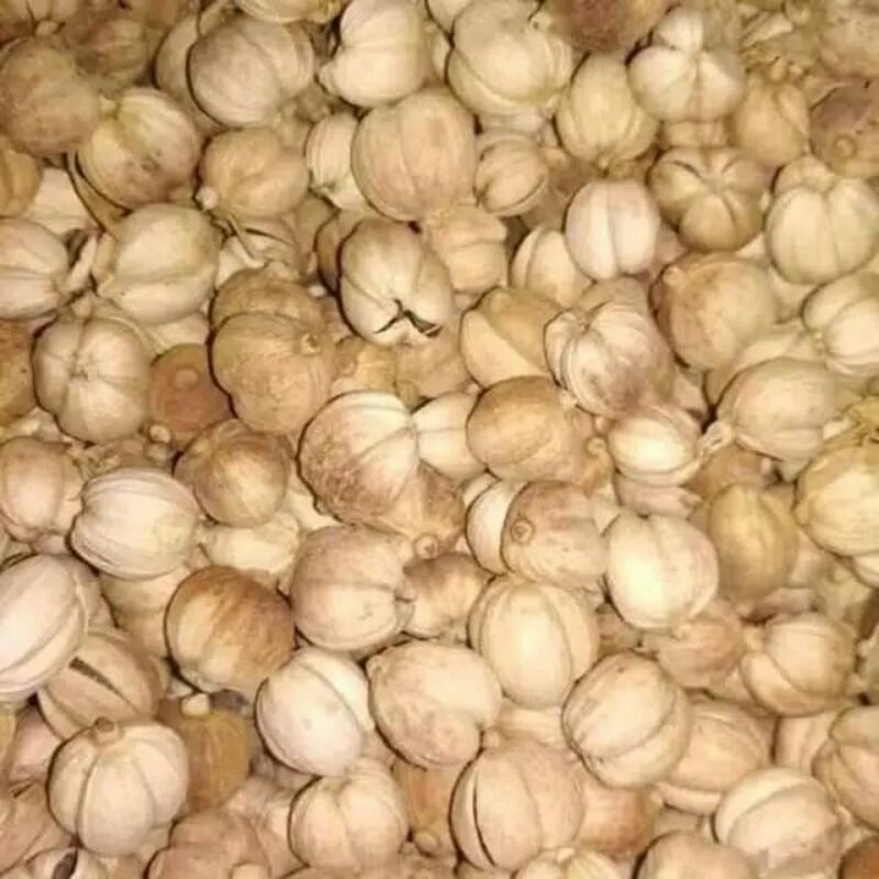 

kapulaga kering / cardamon 50gram