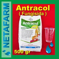 Fungisida ANTRACOL 70 WP - Kemasan 500gr
