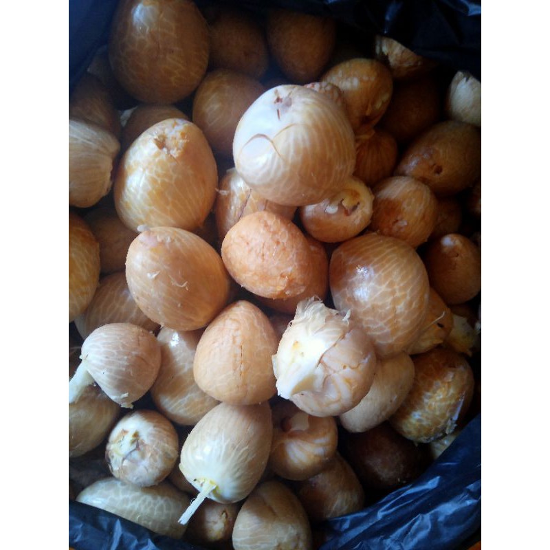 Pinang Muda Kupas  Empuk Murah 500 gr