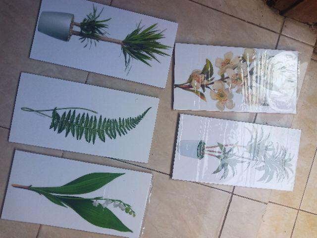 Fasahaya Hiasan Dinding Poster Kayu Leaf Dekorasi Rumah 15x30 Lf 28