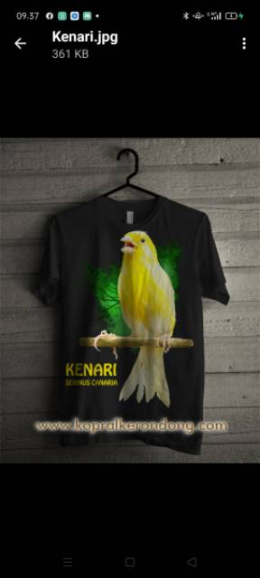 kaos burung combed 30s