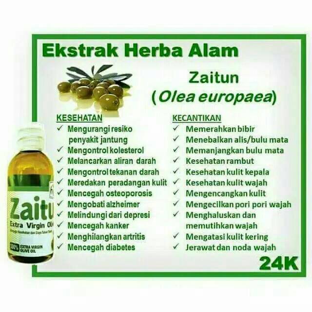 Minyak Zaitun Extra Virgin Olive Oil Original Alami Herbal Hni Hpai Halal Mencegah Kanker Rematik Indonesia