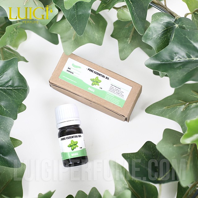 BASIL (SELASIH) MINYAK ATSIRI / ESSENTIAL OIL AROMATHERAPY 5 ML