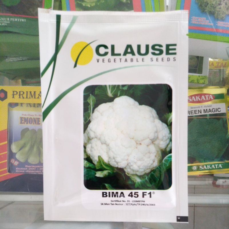 Benih bibit bunga kol Bima 45 F1