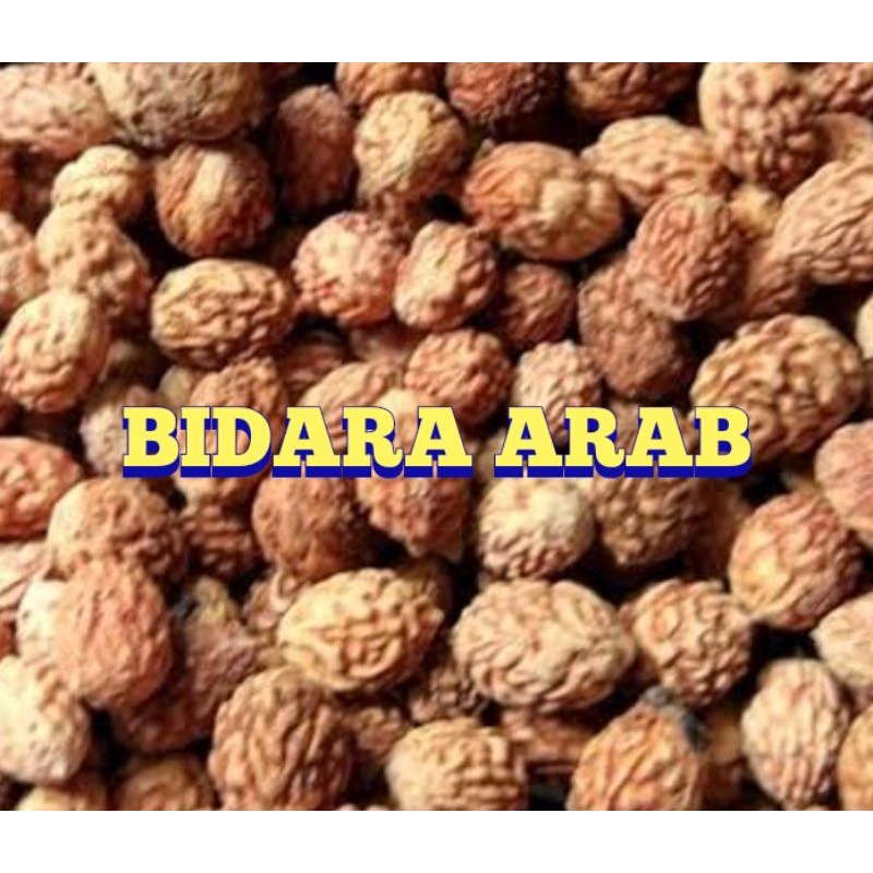 biji Bidara Arab 1 kg benih
