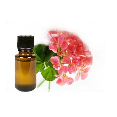 Geranium Essential Oil 25 ml Pure Minyak Atsiri Bunga Geranium