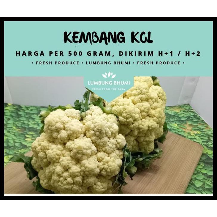 

HOT SALE Kembang Kol ( Sayur - Sayuran Curah ) terjamin
