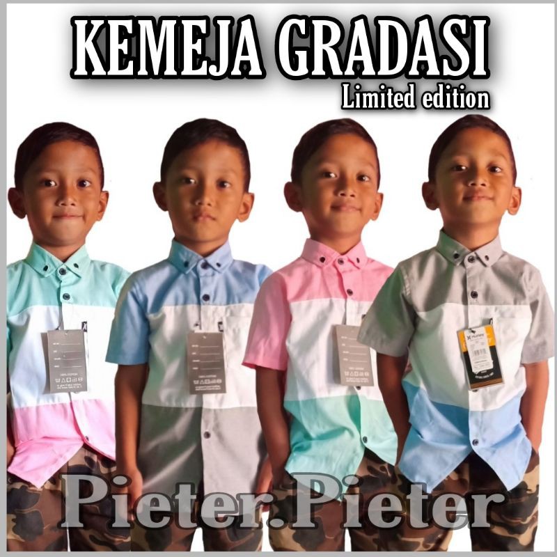 Kemeja Anak Distro LIMITED EDITION premium Original Motif Gradsi