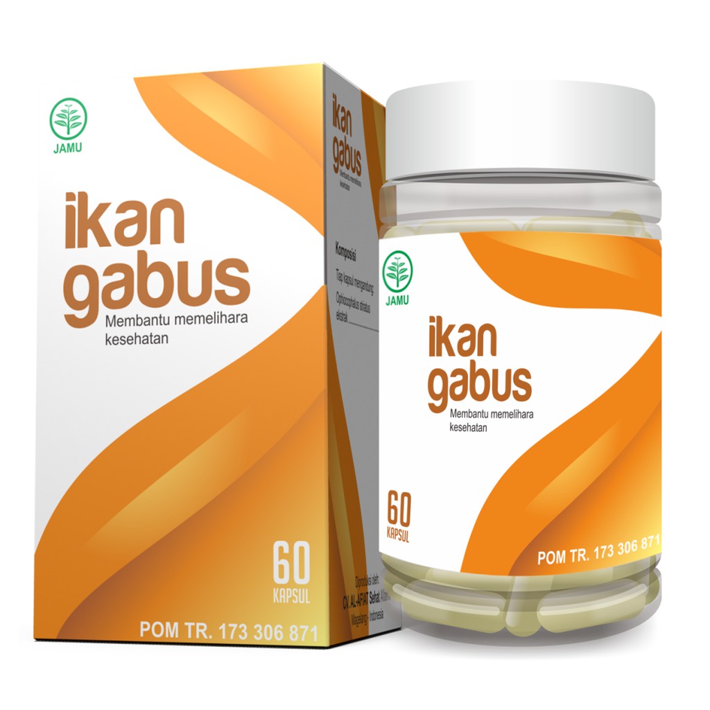

Ikan Gabus