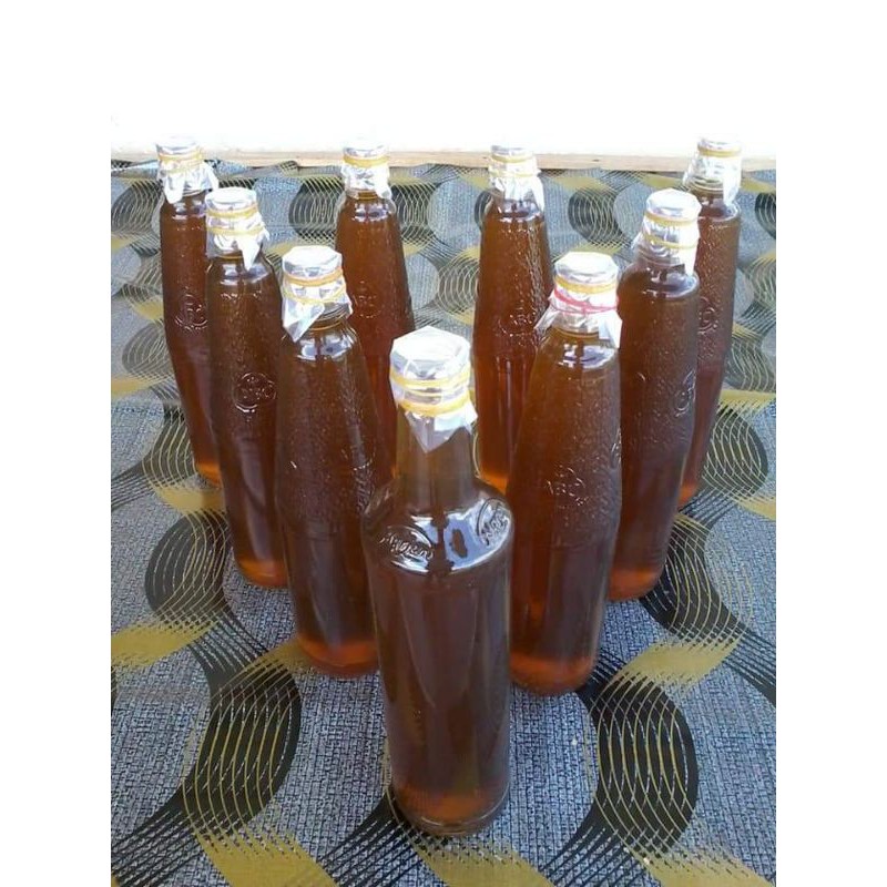 

madu hutan asli sumbar