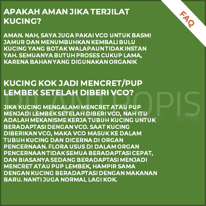 MINYAK VCO UNTUK KUCING KAREIN OBAT MENCRET SCABIES KORENG LUKA GATAL KUCING ANJING KELINCI AMPUH