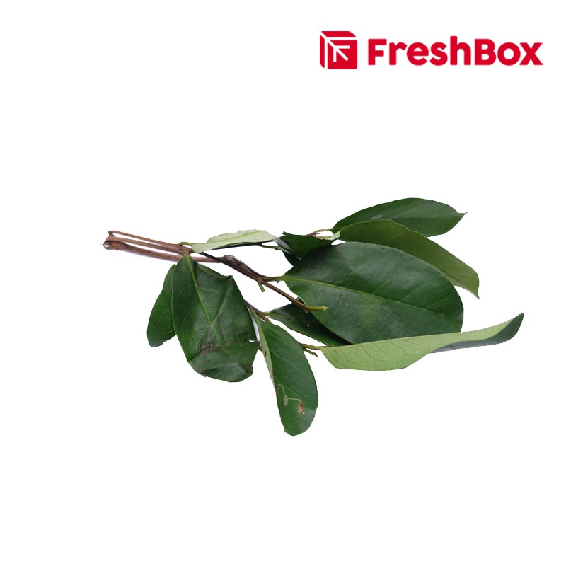 

Daun Salam 100 Gr FreshBox