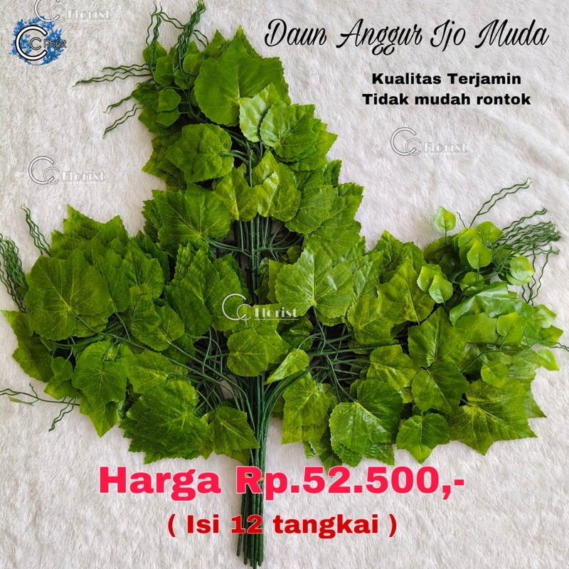 Jual Daun Anggur Plastik Daun Dekorasi Lusin Warna Hijau Muda