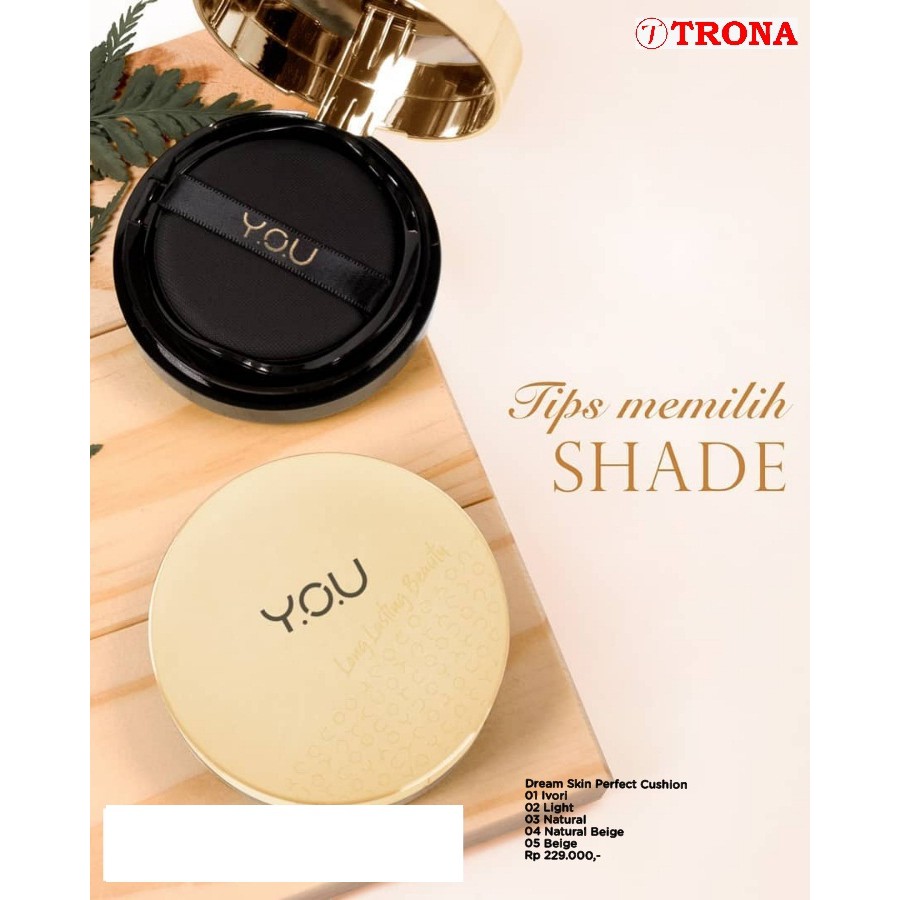 Dream Skin Perfect Cushion