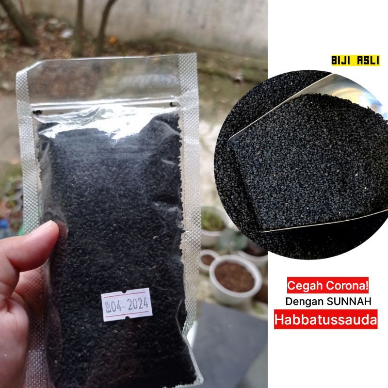 

Biji Habbatusauda Jinten Hitam Jinten Biji Utuh Asli Habbatusauda