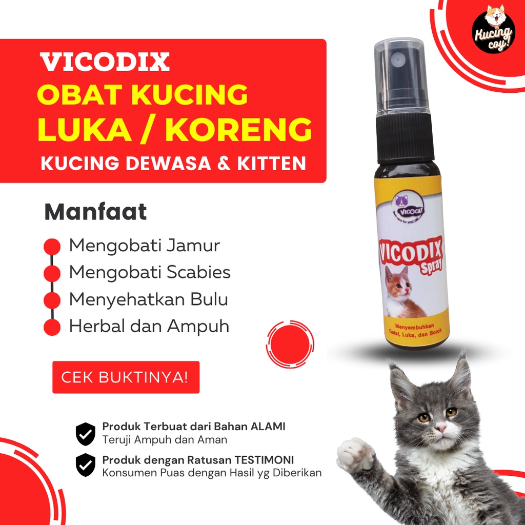 Obat luka kucing koreng VICODIX ampuh mengobati luka basah dan luka kering anak kucing