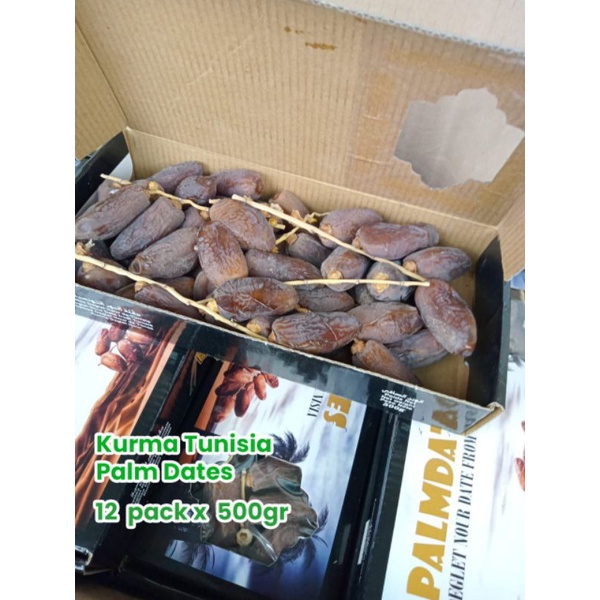 

kurmatunisiapalmadate
