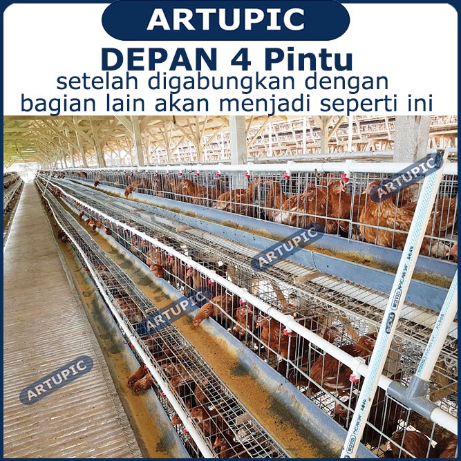 DEPAN 4 PINTU SAJA untuk Kandang Ayam Petelur ARTUPIC Baterai Kandang Ayam Petelur Galvanise 110 cm