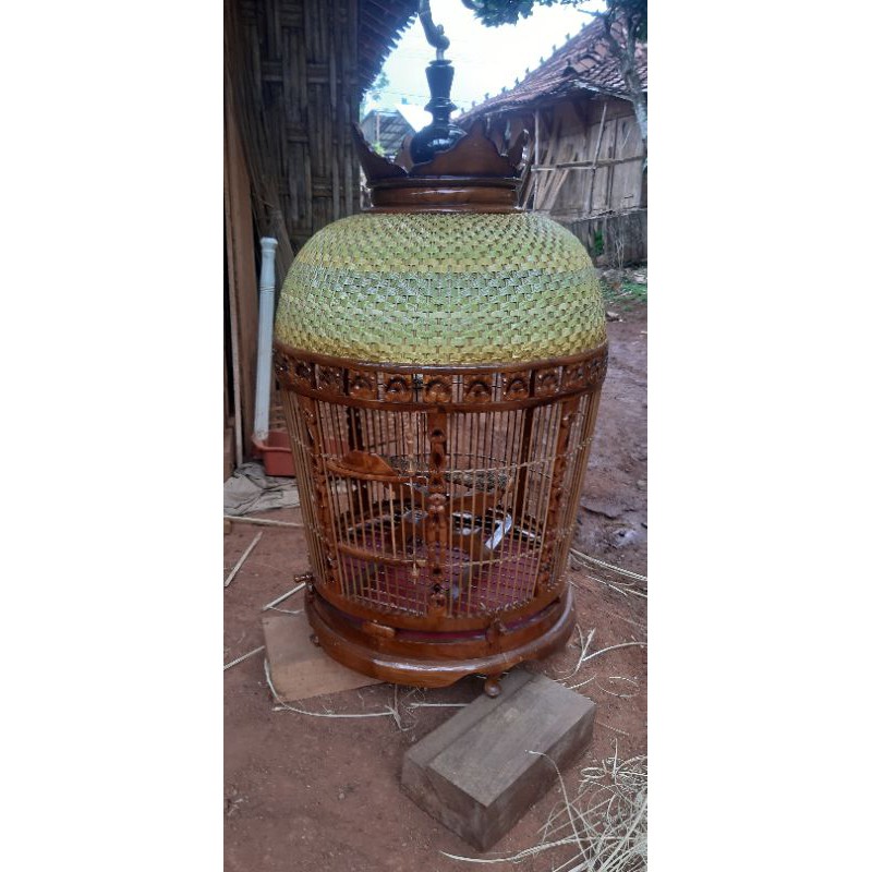 sangkar burung perkutut ukir klasik kayu jati kombinasi rajut