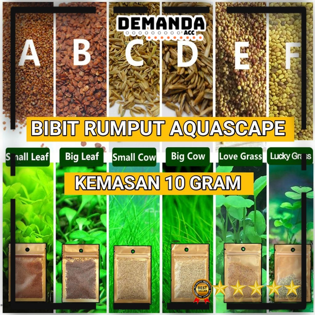 Biji Benih Bibit Rumput Tanaman Aquascape Carpet Seed Benih Bibit Rumput Aquarium