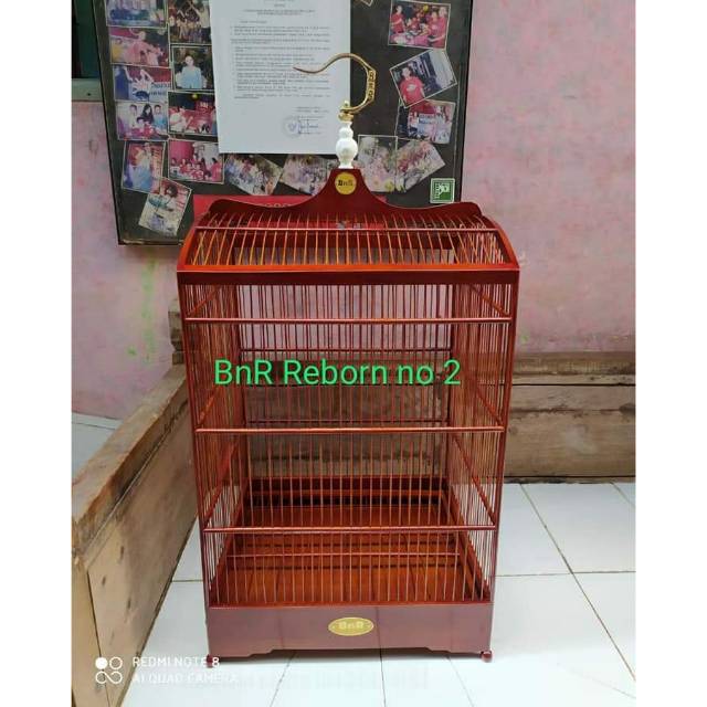 Kandang kotak BnR reborn