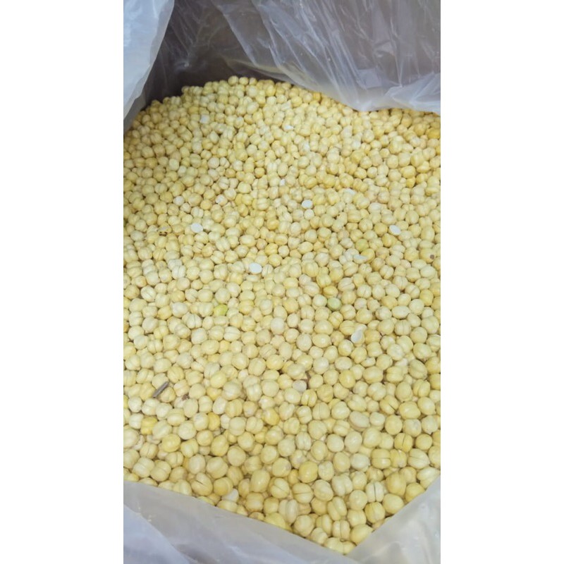 Kacang arb / kacang humus 1kg