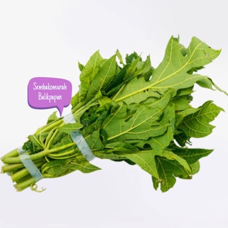 

daun pepaya