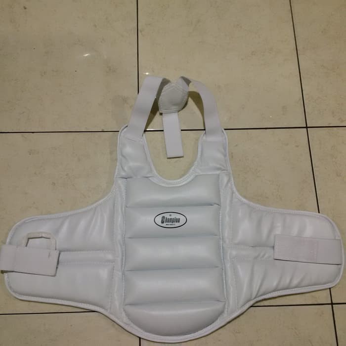 Body Protector Karate