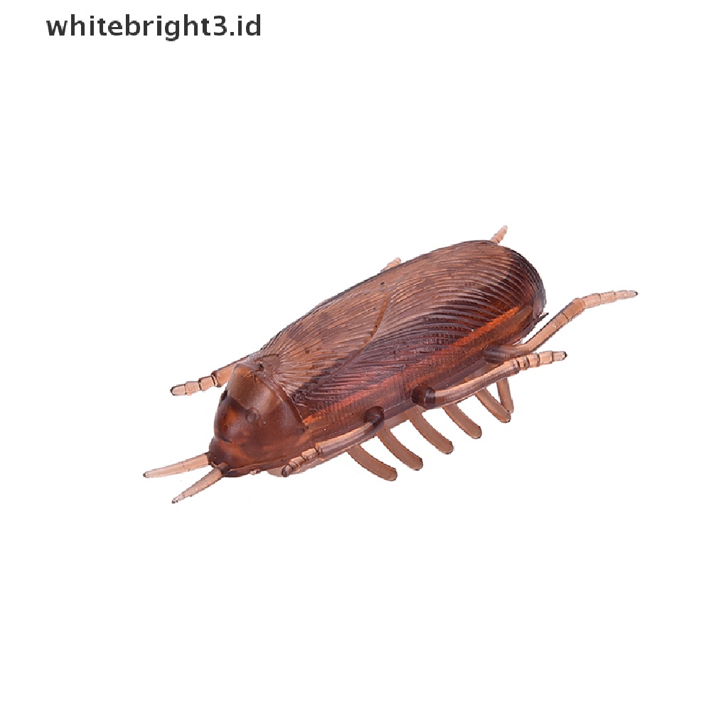 (whitebright3.id) Mainan Interaktif Kecoa Elektronik Tenaga Baterai Untuk Kucing