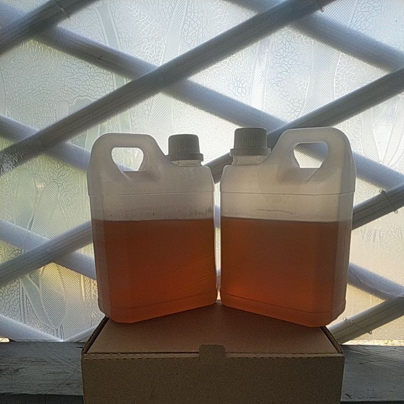 

Gooku 28 Store Madu Murni Asli Nektar Multiflora / Raw Honey Berat 1 Kg Free Dus Box Packing