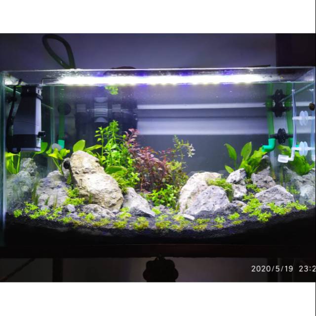 Jasa Pembuatan Aquascape Tema Iwagumi Dutch Style 60cm Shopee Indonesia