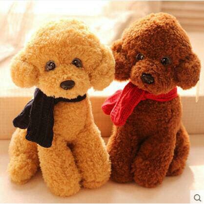 Boneka Anjing Toy Poodle Size S Shopee Indonesia