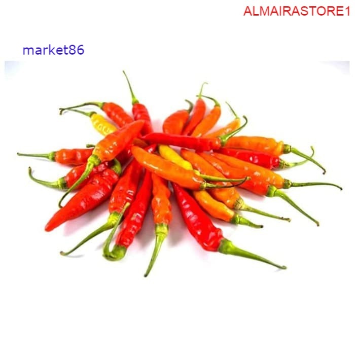 

Grosir Sayur Sayuran Segar FRESH Cabe Rawit Merah 100 Gram - Market86