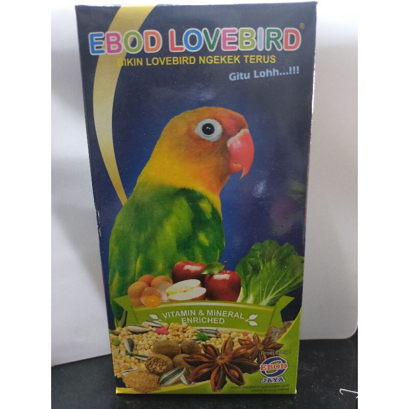 EBOD LOVEBIRD KEMASAN DUS