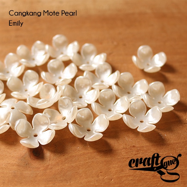 Cangkang Mote Pearl/Mutiara