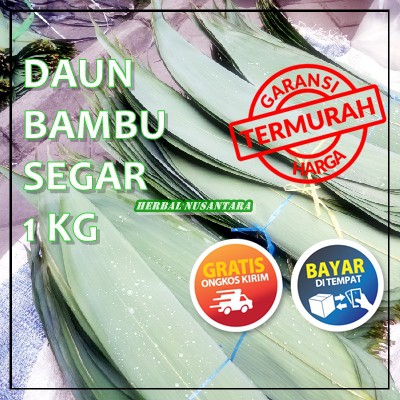 

[ READY STOCK ] DAUN BACANG 1KG DAUN BAMBU LEBAR 1KG KONDISI SEGAR