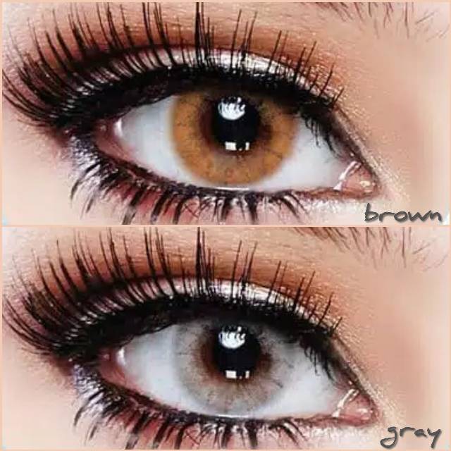 Softlens Sweety Solotica Hydrocor - Warna Gray Brown bisa Minus