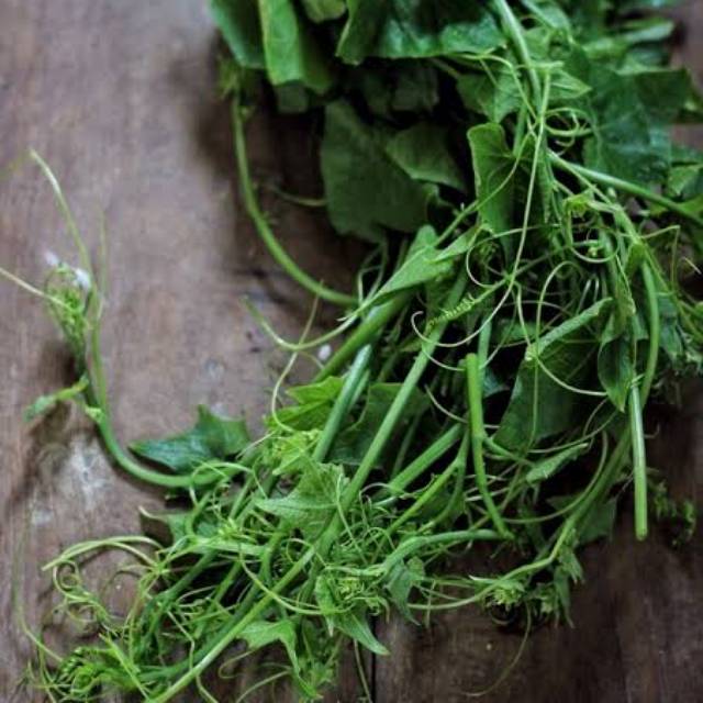 

500gr Pucuk Labu Siam/ Sayur Pucuk Labu/ per ikat