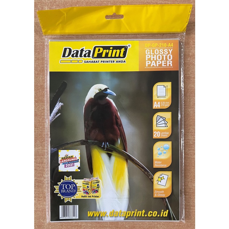 Kertas Foto A4 Data Print Glossy Photo Paper A4 (180 210 230 gsm) 20 Sheets