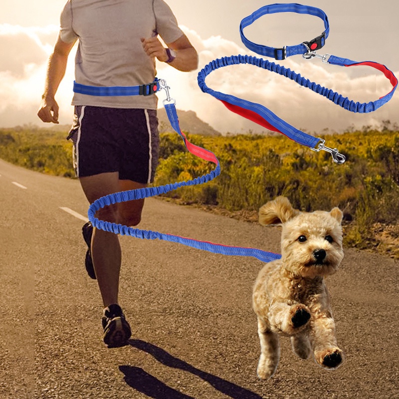 Tali Tuntun Anjing Elastis Adjustable Untuk Lari / Jogging