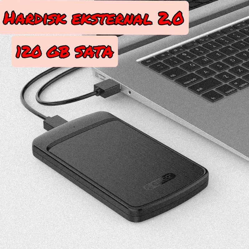 Hardisk Eksternal 120 GB Sata