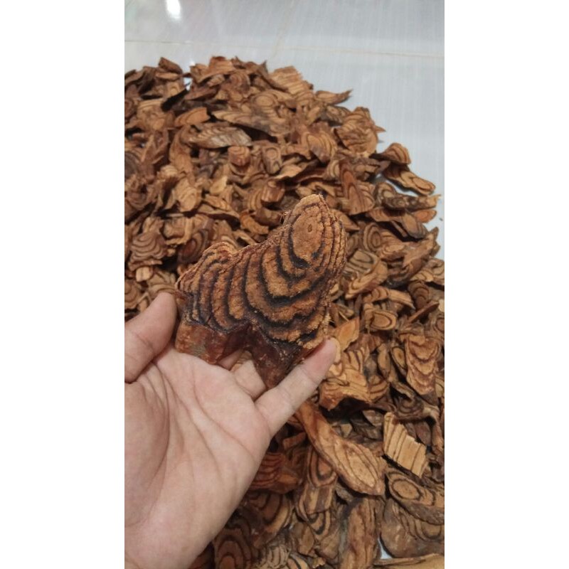 AKAR BAJAKAH JI XUE TENG KEMASAN 1KG