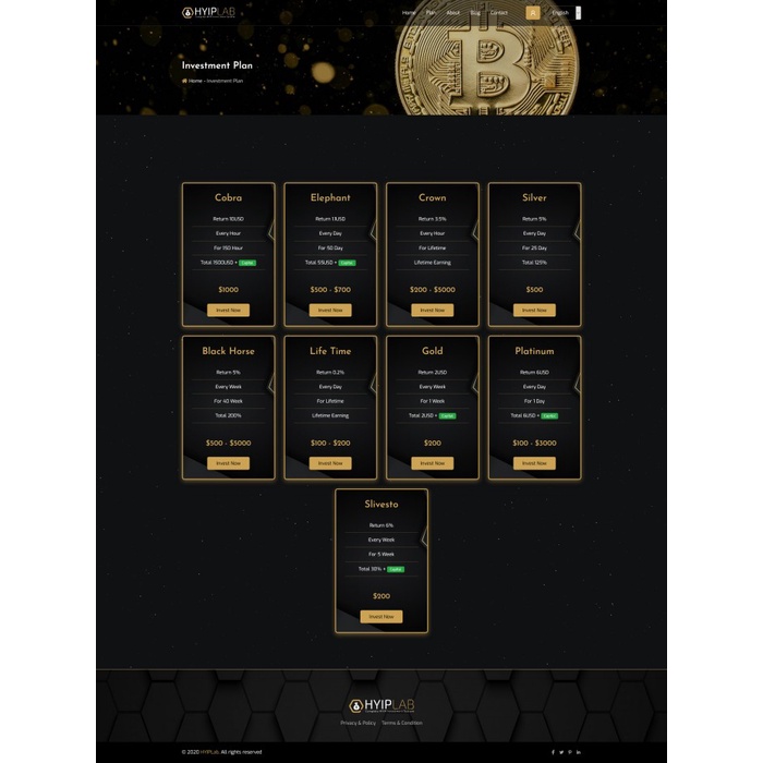 Application Hyiplab Complete Hyip Investment System